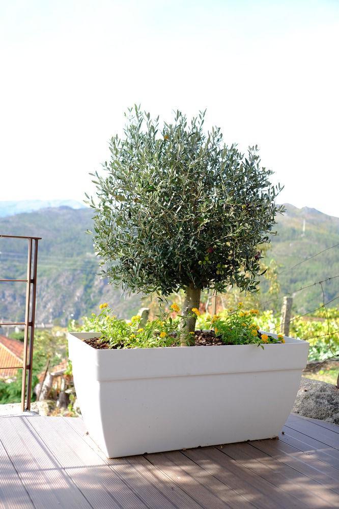Rh Design Country house Parada (Viana do Castelo)